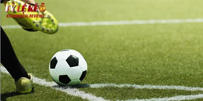 Khám phá bí quyết vàng để chơi tài xỉu 6/6.5 là gì