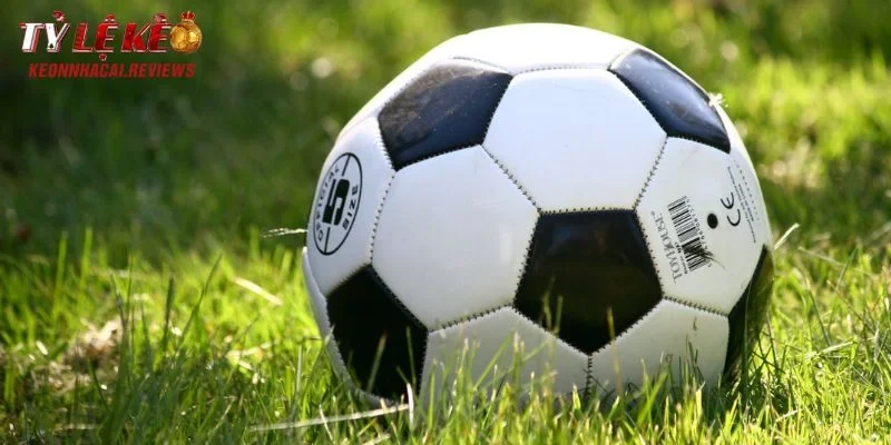 Tìm hiểu tất tần tật về tài xỉu 6/6.5 là gì?